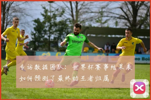 专访数据团队：世界杯赛事结果表如何预测了最终的王者归属