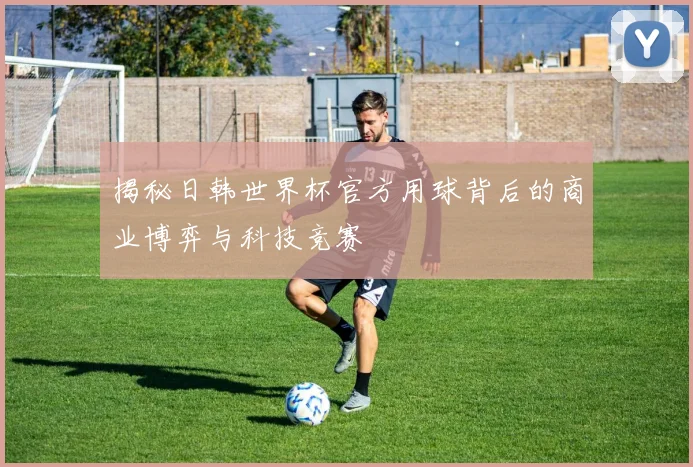 揭秘日韩世界杯官方用球背后的商业博弈与科技竞赛