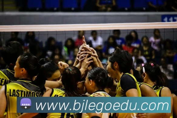 奇异果工作室官网品牌故事