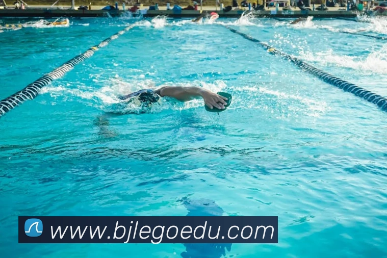 奇异果工作室官网服务体系